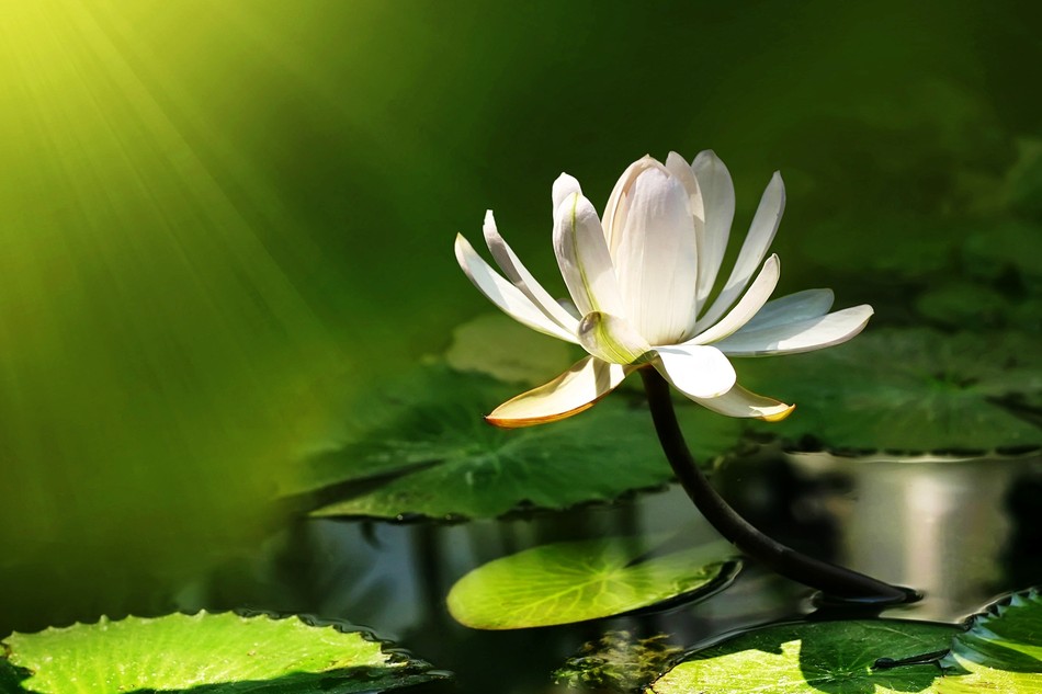 Ở đời mấy ai mà không vấp ngã, quan trọng là biết gượng dậy và đứng lên